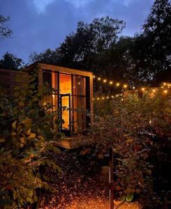 una cabina in un giardino di notte con luci di Tiny Dream House 4p ad Arnhem