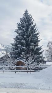 Hotel Wieser en invierno