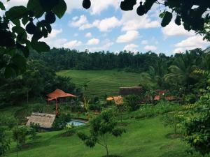 Zahrada ubytování Bali Lush