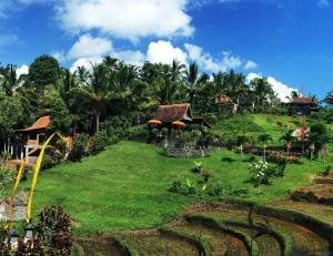 Zahrada ubytování Bali Lush