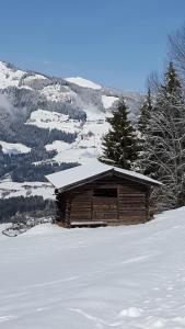 Hotel Wieser en invierno