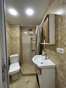 a bathroom with a toilet and a sink and a shower at Bakuriani Mix 213 in Bakuriani