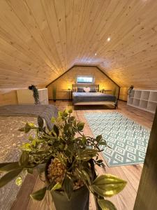 a room with two beds and a potted plant at Grey Sea Rusinowo in Rusinowo