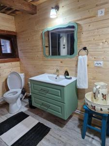 een badkamer met een groene wastafel en een spiegel bij Casa Veche in Neagra Şarului