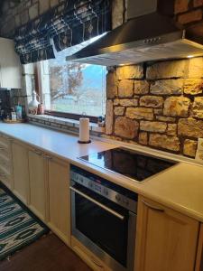 a kitchen with a stove and a stone wall at Erymanthos country home in Kalavrita