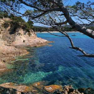 vista su una spiaggia con acqua cristallina di Studio à Hyères Port - Proche de toutes commodités a Hyères