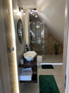 a bathroom with a sink and a shower at Apartament Nasze Poddasze in Ciche