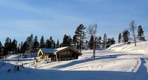 una casa en una colina cubierta de nieve con árboles en Turufjell -storhytte med SPA, en Flå