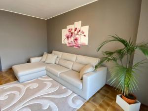 uma sala de estar com um sofá e uma planta em Sofia apartment near Bellagio em Lezzeno