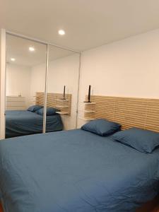 1 Schlafzimmer mit 2 Betten und einem großen Spiegel in der Unterkunft Part-Dieu (garage inclus) / Brotteaux in Lyon