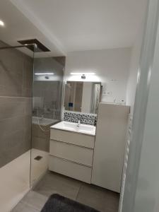 ein weißes Bad mit einem Waschbecken und einer Dusche in der Unterkunft Part-Dieu (garage inclus) / Brotteaux in Lyon
