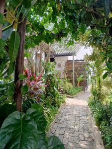 einen Weg durch einen Garten mit Bäumen und Pflanzen in der Unterkunft Yes Beach House in Mirissa