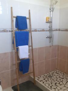 a bathroom with a ladder with towels and a shower at Villa le vent du nord in Capesterre