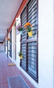 Fotografie z fotogalerie ubytování le stanze di via veneto v destinaci Bitetto