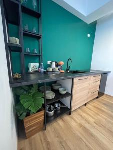 a kitchen with a counter with a sink and shelves at Marisah Residence #3 in Otopeni
