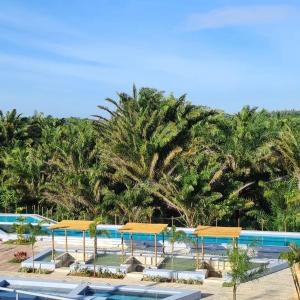 une piscine avec des parasols jaunes et des palmiers dans l'établissement Condominio encantador em Parnamirim com Piscina, à Parnamirim