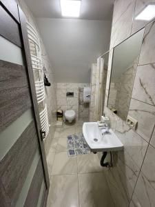 PilipetsにあるЛимонний дімの洗面台とトイレ付きのバスルーム +23枚の写真
