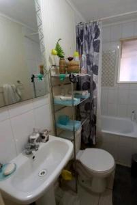 a bathroom with a sink and a toilet and a shower at Casa con buena ubicación estacionamiento gratuito in Castro