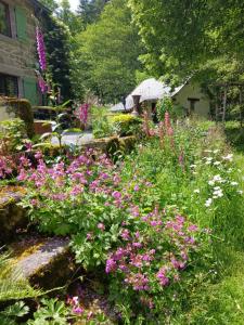 un jardín con flores rosas en un patio en Moulin de Sansonneche - Gite Laine 