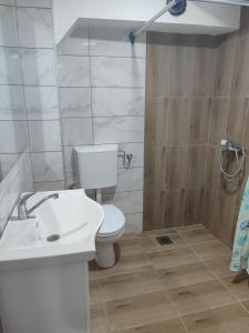 a bathroom with a toilet and a sink and a shower at Apartmani Hub in Niš