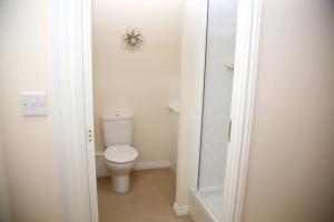 a bathroom with a toilet and a walk in shower at Magnolia Lodge in Norwich
