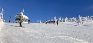 een groep mensen die skiën op een besneeuwde helling bij Ubytování na horách v Rokytnici n. J. in Rokytnice nad Jizerou
