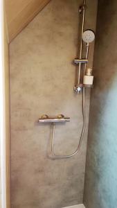 a shower in a bathroom with a shower at The Cozy Downtown Duplex in Chevreuse