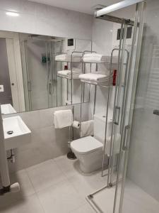 ein Bad mit einem WC, einer Dusche und einem Waschbecken in der Unterkunft excelente ubicado y amueblado in León