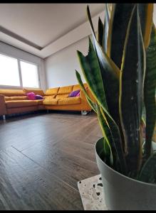 ein Wohnzimmer mit einem Sofa und einer Topfpflanze in der Unterkunft Rosina Apartment surfing bed&vacation in Terrasini