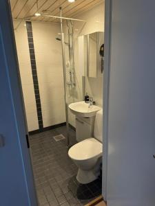 een badkamer met een toilet en een wastafel bij Rovaniemi Cityapartment in Rovaniemi