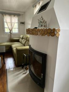 a living room with a fireplace with a tv at Wood House Valiug in Văliug