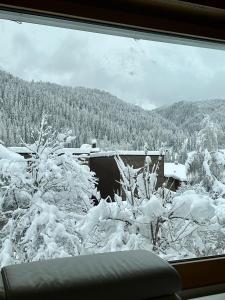 a view of a snow covered forest from a window at Chasa Stefania mit rundum Bergblick und Garten in Scuol