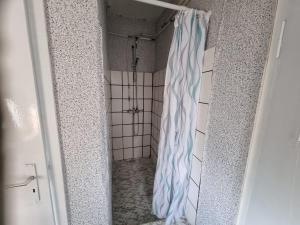eine Dusche im Bad mit Duschvorhang in der Unterkunft Ferienwohnung Plötzky in Plötzky