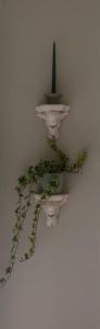 a plant in a vase on a wall with a candle at Oakhurst Guesthouse in Cobh