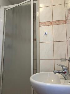 La salle de bains est pourvue d'un lavabo et d'une douche. dans l'établissement Chata Tereza, à Janov nad Nisou