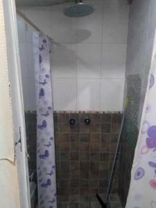 y baño con ducha y cortina de ducha. en Mis tres soles en Miramar