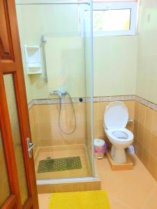 a bathroom with a shower and a toilet at SeyBreeze Villa in Anse Royale