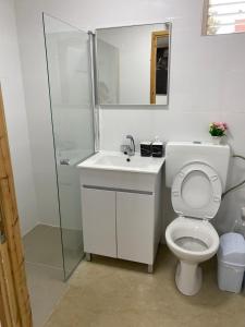 a bathroom with a toilet and a sink and a shower at בקתת אברהם in Safed