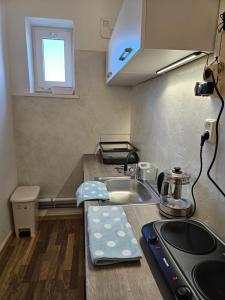 Kuchyň nebo kuchyňský kout v ubytování Tererka apartment + 3 fotografie