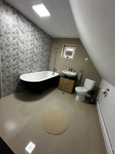 a bathroom with a tub and a toilet and a sink at Wood House Valiug in Văliug +35 photos