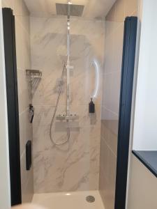 ein Bad mit einer Dusche und einer Glastür in der Unterkunft Les Bras de Morphée in Avize