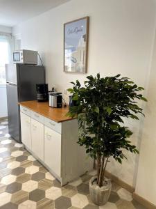 a kitchen with a potted plant and a refrigerator at Bourgois in Boulogne-sur-Mer