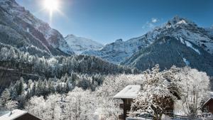 een huis met uitzicht op een besneeuwde bergketen bij CHAMPS DE LA PLAGNE B10 in Morzine