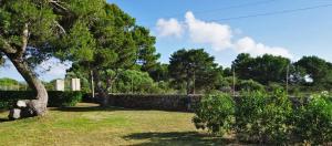 a yard with a stone wall and a tree at Ruhiges Haus, Meerblick in Cala Serena +10 photos