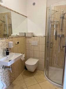 a bathroom with a toilet and a shower and a sink at Agroturystyka Bobrowniki in Szczytna