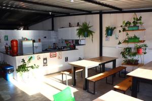 a room with tables and potted plants on the wall at Hostel FreeWay in Brasília