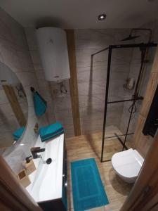 a bathroom with a shower and a sink and a toilet at Apartament Ogrodzieniec in Ogrodzieniec