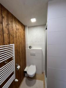 a bathroom with a white toilet and wooden walls at Chalupa u Josefa in Josefŭv Dŭl