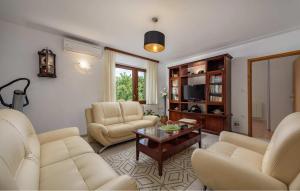 uma sala de estar com sofás e uma mesa de centro em Haus Nono em Sveti Petar u Šumi