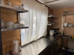 eine Küche mit einer Arbeitsplatte und einem Fenster in der Unterkunft Шепіт річки in Synewyr